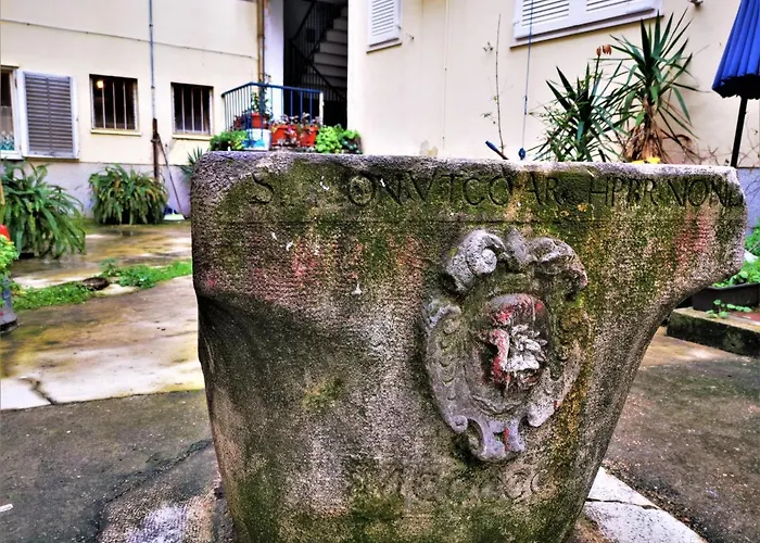 Divinity's Reach - Old Town Center Guest house 4*